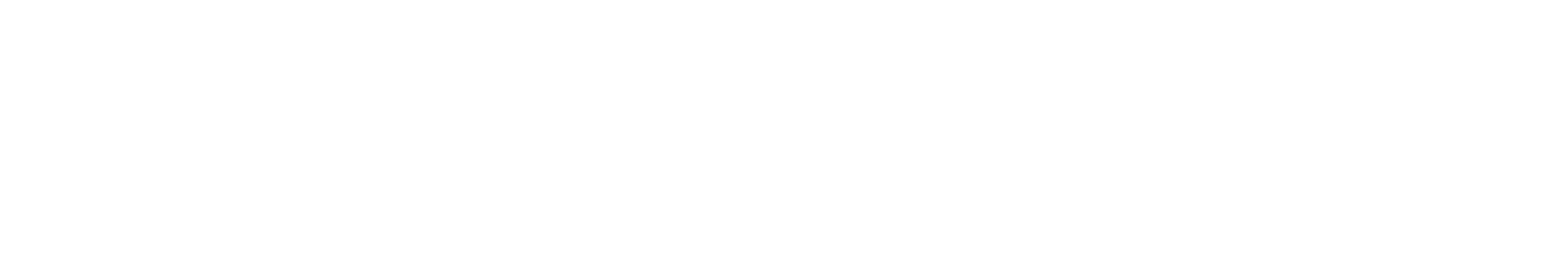 canarix-logo-white